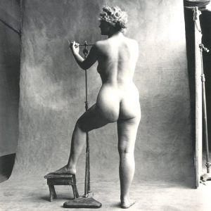 「Worlds in a Small Room / Irving Penn　」画像2
