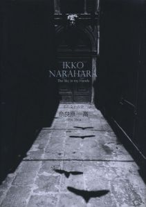 手のなかの空  奈良原一高  1954-2004／写真：奈良原一高　編：蔦谷典子／(IKKO NARAHARA The Sky in my Hands / Photo: Ikko Narahara　Edit: Noriko Tsutatani)のサムネール