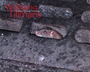 For when I'm weak I'm strong／ヴォルフガング・ティルマンス／(For when I'm weak I'm strong / Wolfgang Tillmans)のサムネール