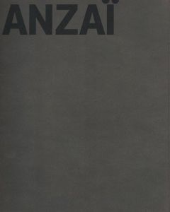 写真と彫刻の対話　安斎重男 眞板雅文展／安斎重男　文：太田泰人、ドナルド・カスピット／(Shigeo Anzai / Shigeo Anzai　)のサムネール