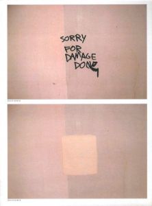SORRY FOR DAMAGE DONEのサムネール