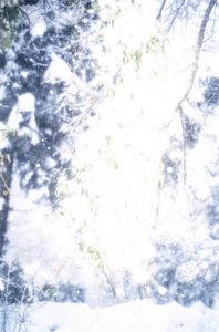 「Do You Know What I Mean / Juergen Teller」画像12
