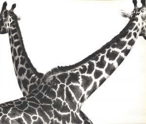 「AFRICA / Herb Ritts 」画像4