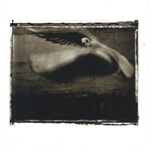 「Coincidences / Sarah Moon」画像1