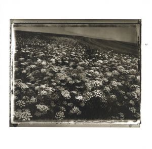 「Coincidences / Sarah Moon」画像5