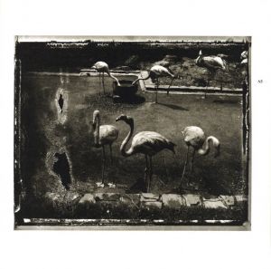 「Coincidences / Sarah Moon」画像6