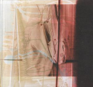 Wolfgang Tillmans　Abstract Pictures／写真：ヴォルフガング・ティルマンス　編・デザイン：ヴォルフガング・ティルマンス、カール・コルビッツ　エッセイ：ドミニク・アイクラー／(Wolfgang Tillmans　Abstract Pictures / Photo: Wolfgang Tillmans　Edit, Design: Wolfgang Tillmans, Karl Kolbitz　Essays: Dominic Eichler)のサムネール