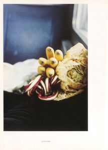 「ヴォルフガング・ティルマンス：Freischwimmer / 写真：ヴォルフガング・ティルマンス　編：飯田志保子　寄稿：清水穰、ギル・ブランク　デザイン：ヴォルフガング・ティルマンス、近藤一弥」画像3