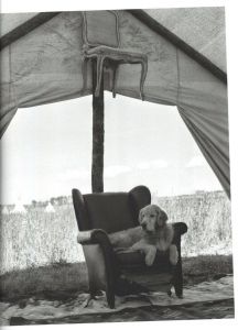 「The Golden Retriever Photographic Society / Bruce Weber」画像4