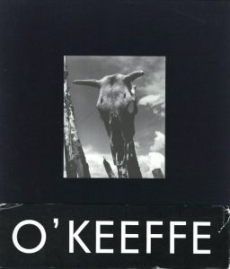 Georgia O'Keeffe　The Artist Landscapeのサムネール