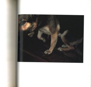 「Horses and Dogs / William Eggleston」画像3