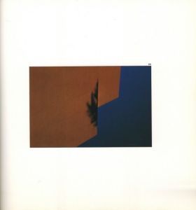 「視覚の造形 / スティーブ・ハイエット」画像1