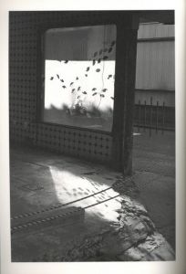 「道端に光線 / 武田花」画像1