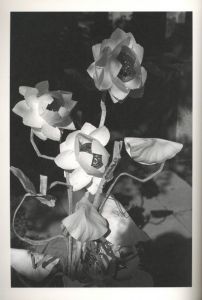 「道端に光線 / 武田花」画像4