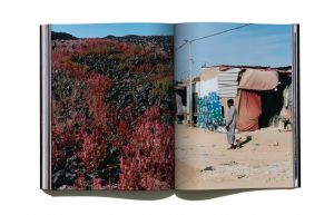 「Useless Fighters  issue2　COVER B(Fights In the Andes Mountains） / Creative Director, Editor-in-chief: Ramdane Touhami」画像9