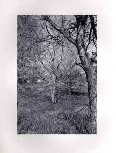 「FLOWERS and TREES / Lee Friedlander　」画像1