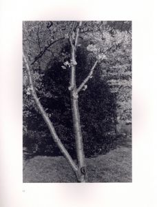 「FLOWERS and TREES / Lee Friedlander　」画像3