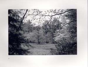 「FLOWERS and TREES / Lee Friedlander　」画像7