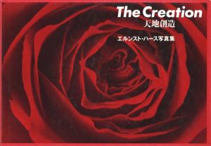 天地創造 《 新装版 》／エルンスト・ハース／(The Creation《 New Edition 》 / Ernst Haas)のサムネール