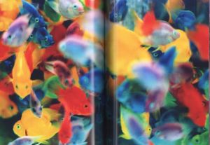 「Eternity in a Moment vol.2 / 蜷川実花」画像2
