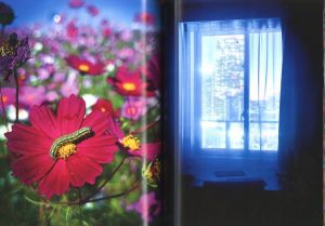 「Eternity in a Moment vol.1 / 蜷川実花」画像2