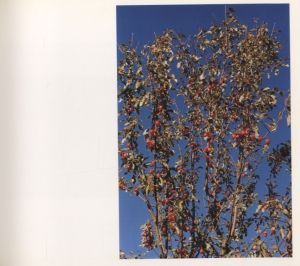 「In-between 1 ホンマタカシ　デンマーク、ポーランド / ホンマタカシ」画像3
