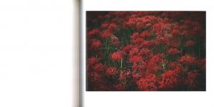 「此岸の日々 / 野村恵子」画像6