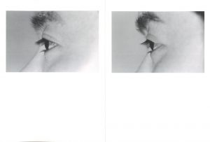 「DZ dizygotic twins / 藤安淳」画像1