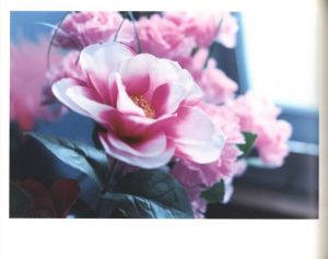 「島へ / 上田義彦」画像3