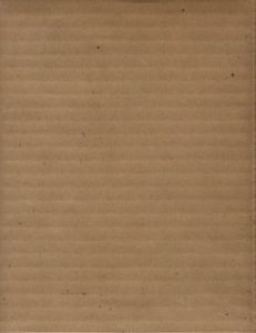 「贋物漫遊記 / 著：種村季弘　装画：川原田徹」画像2
