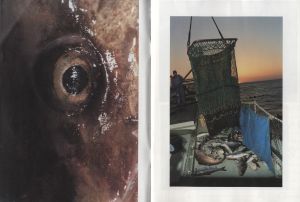 「魚人 / 写真：田附勝　デザイン：鈴木聖」画像5