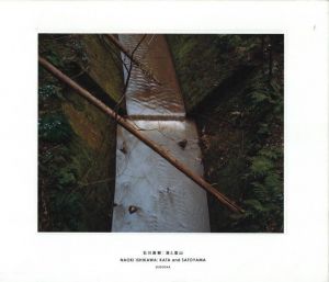 潟と里山／石川直樹　文：椹木野衣／(KATA and SATOYAMA / Naoki Ishikawa　Text: Noi Sawaragi)のサムネール