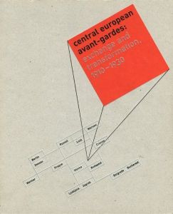 Central European avant-gardes: exchange and transformation, 1910-1930のサムネール