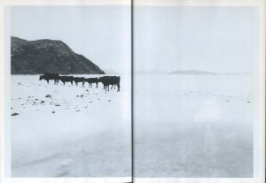 「朱もどろの華　沖縄日記 / 東松照明」画像4