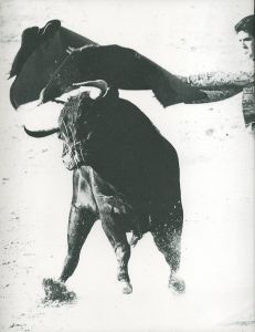 「スペイン偉大なる午後 / 著：奈良原一高　ブックデザイン：勝井三雄」画像5