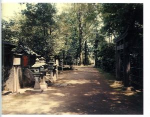 「TORII / 鈴木理策」画像3