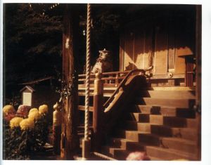 「TORII / 鈴木理策」画像6