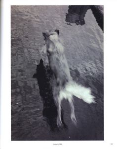 「View from above / Photo, Design: Wolfgang Tillmans」画像8