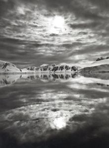 「GENESIS / Sebastião Salgado」画像4