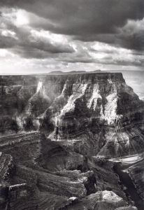 「GENESIS / Sebastião Salgado」画像7