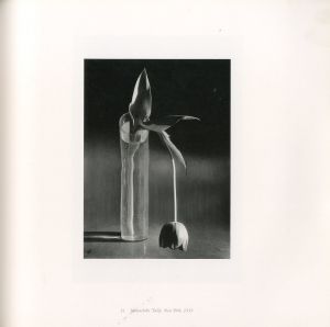 「アンドレ・ケルテス展 / アンドレ・ケルテス」画像2
