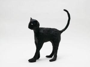 「The Cat / 菅谷晋一」画像8