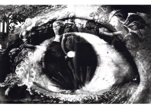 「BA・RA・KEI: ORDEAL BY ROSES / Model, Preface: Yukio Mishima　Photo: Eikoh Hosoe　Design: Kiyoshi Awazu」画像3