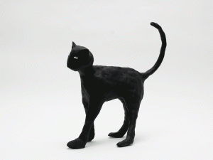 The Catのサムネール