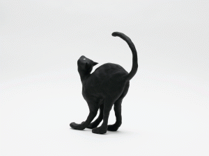 The Catのサムネール