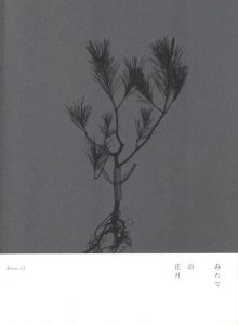 みたての正月のサムネール