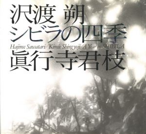シビラの四季のサムネール
