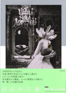 はるかな旅 岡上淑子作品集《新装版》のサムネール